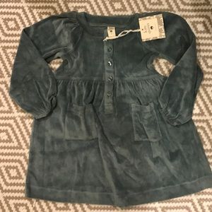 NWT Kate Quinn Velour Dress